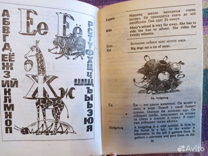 Словарь английского для детей