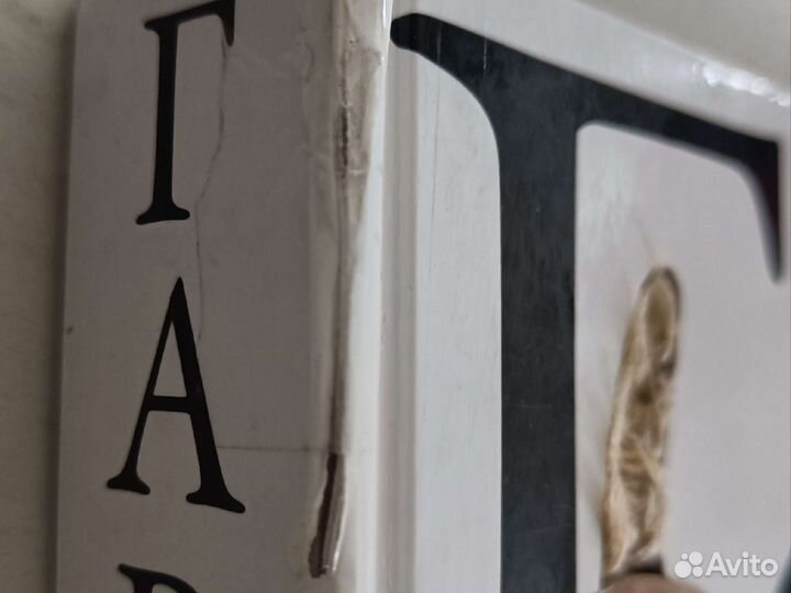 Гав. Книга-игрушка, Мэтью Ван Флит