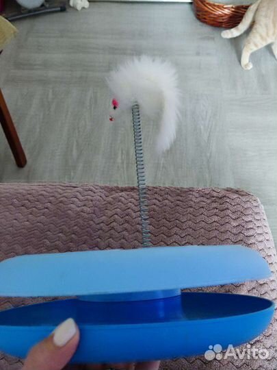 Игрушка- трек для развлечения котят