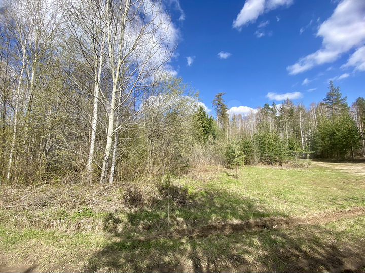 Участок 26,4 сот. (промназначения)