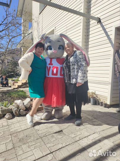 Ростовая кукла, Аниматор