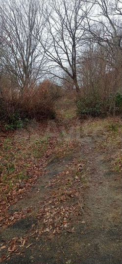 Участок 12 сот. (ИЖС)