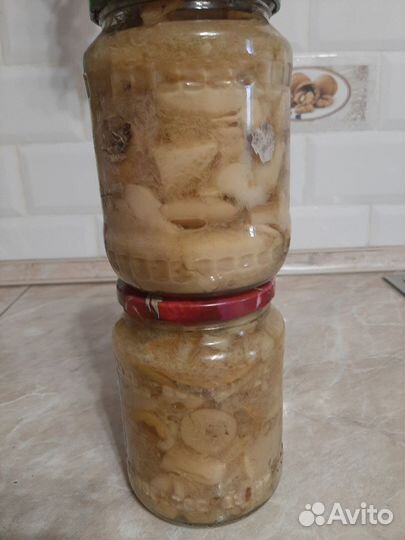 Грибы опята маринованные