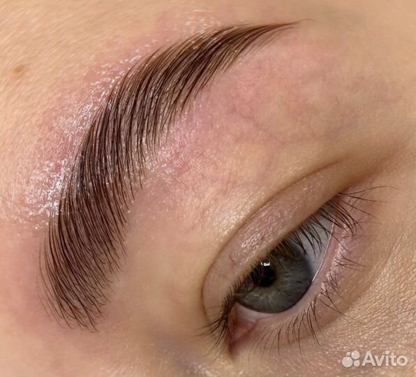 Бровист на дом