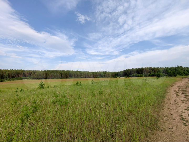 Участок 1,09 га (ИЖС)