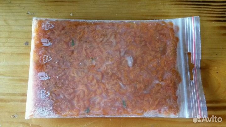 Замороженные и сухие корма для рыб