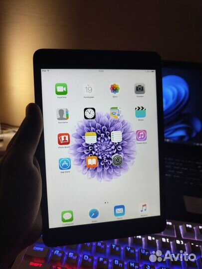 iPad mini 1