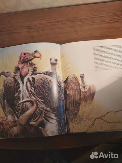 Энциклопедии.Тайная жизнь животных(комплект из 3 к