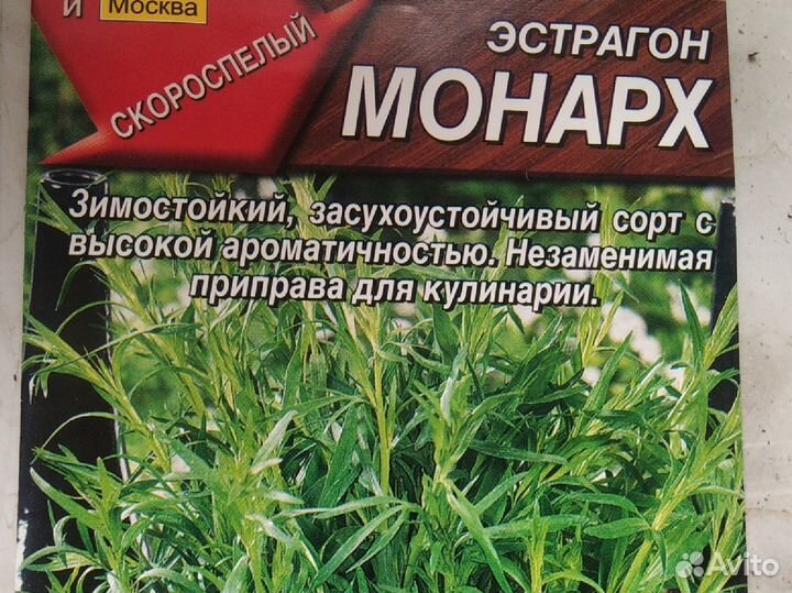 Эстрагон монарх