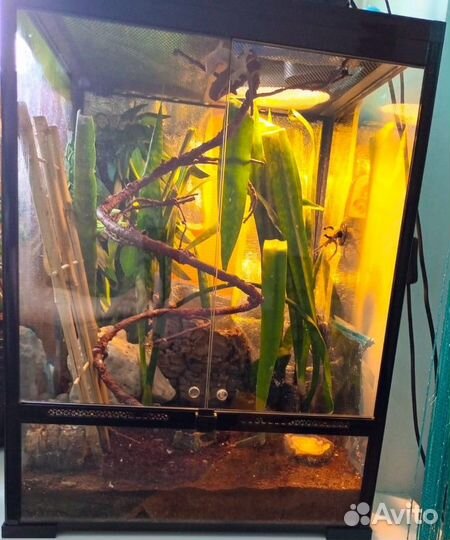 Террариум exo terra