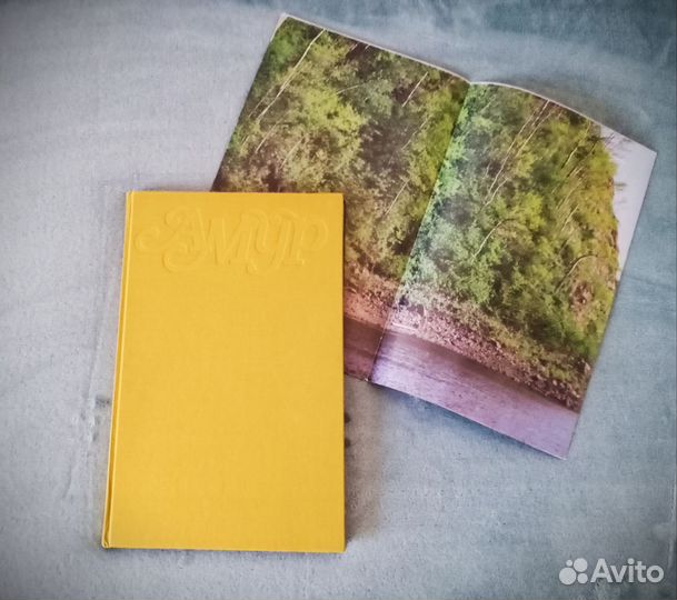 Амур альбом