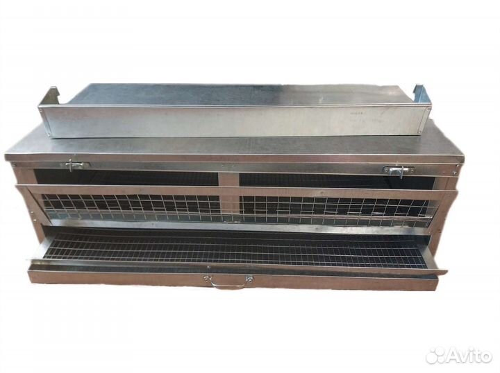 Брудер клетка для перепелов с яйцесборником