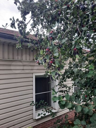 Дом 63,6 м² на участке 5 сот.