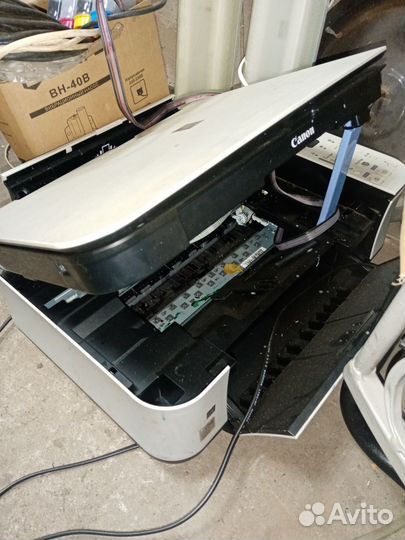 Принтер снпч canon mp250
