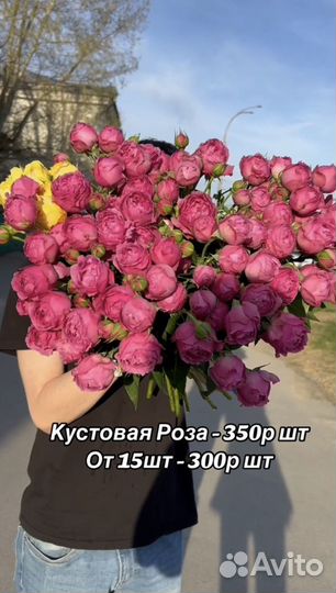 Кустовая роза Букет Цветы с доставкой