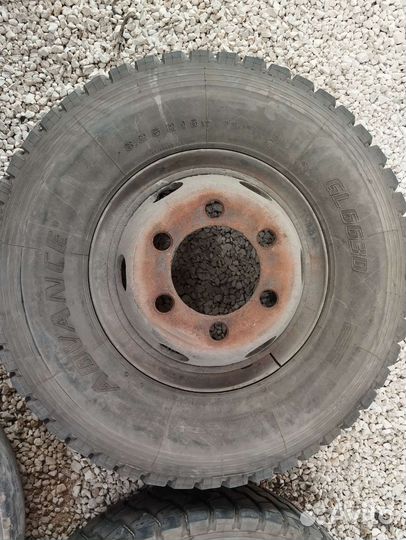 Advance GL663D 8.25 R16