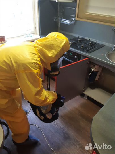 Уничтожение клопов травить тараканов блох клещей