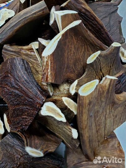 Рога для собак