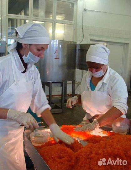 Икра красная горбуши. Оптом Камчатская