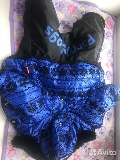 Одежда для средних и мелких собак