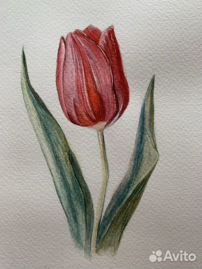 Художник/иллюстратор/дизайнер