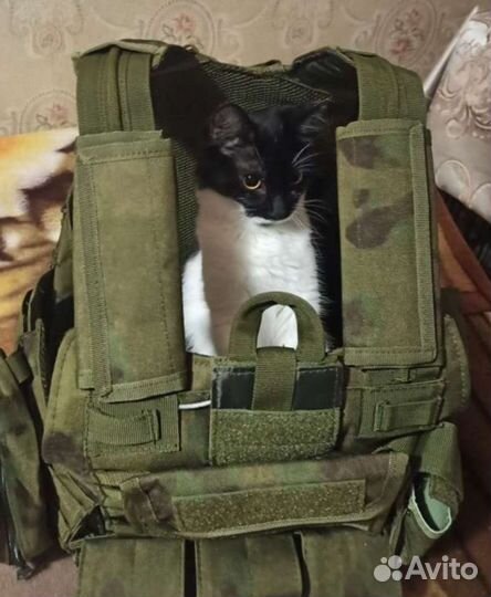 Разгрузочный жилет ciras