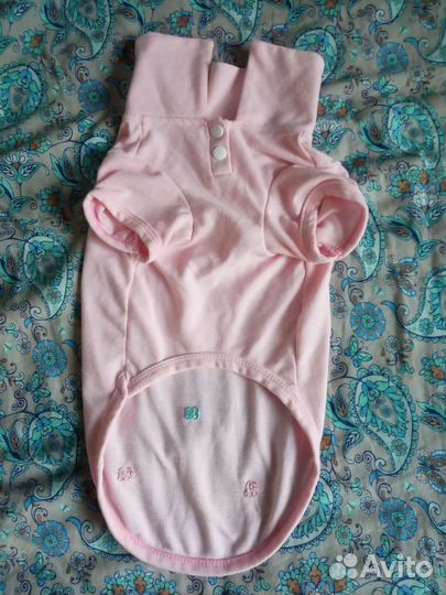 Одежда для маленьких собак