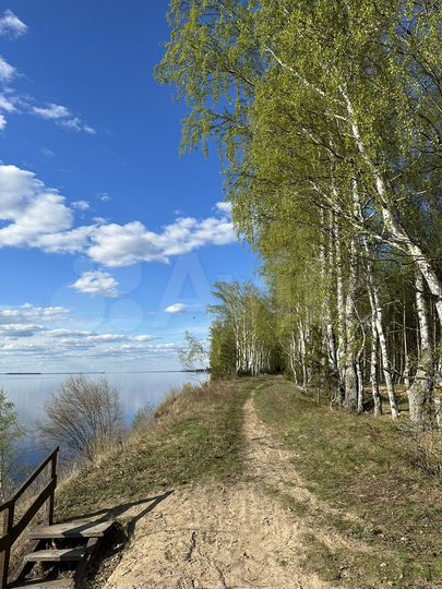 Участок 15 сот. (ИЖС)