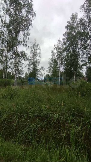 Участок 50 сот. (СНТ, ДНП)