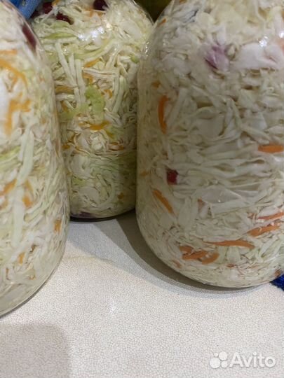 Капуста и консервация. Томат