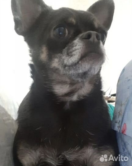 Сумка валяная на заказ