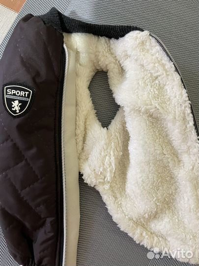 Попона для мелких пород собак