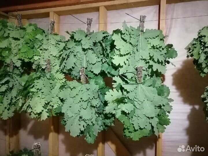 Предзаказ Веники для бани 2023