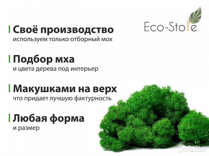 Картина из мха квадратная