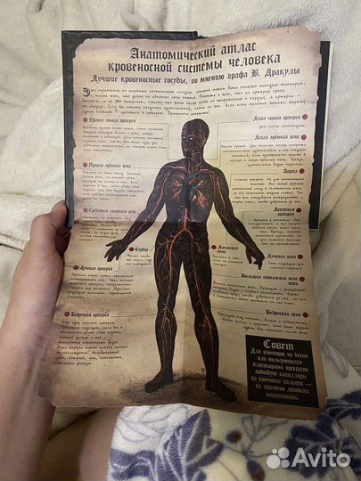 Поддлинные дневники вампира. граф дракула