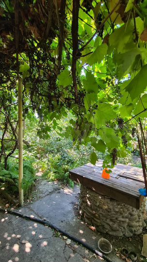 Дача 71 м² на участке 8 сот.