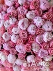 Пионы Адлер