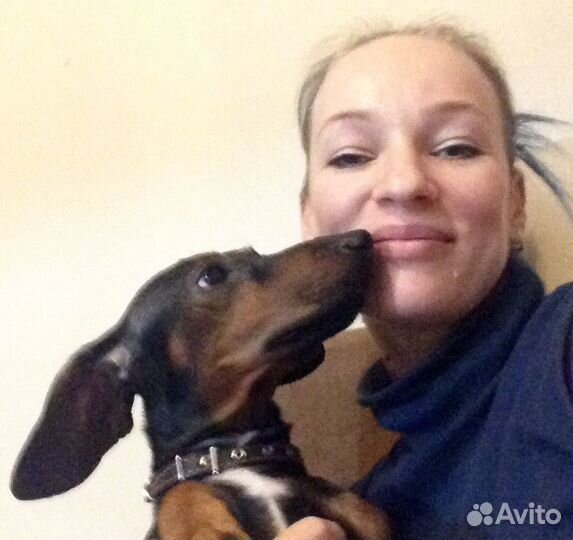 Кинолог, дрессировка собак