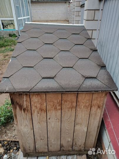 Собачья будка