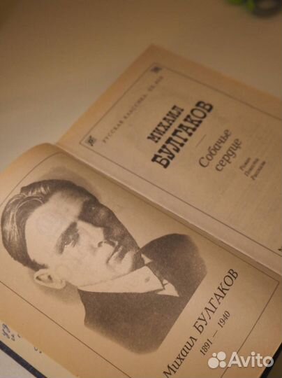 М.А. Булгаков—Собачье Сердце