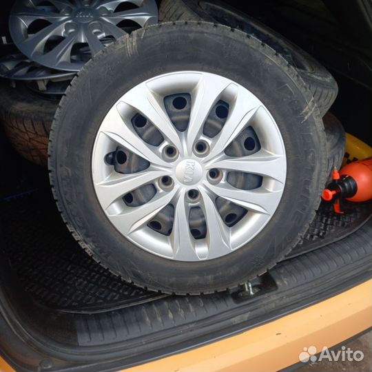 Roadstone Winguard 195/65 R15 19Q