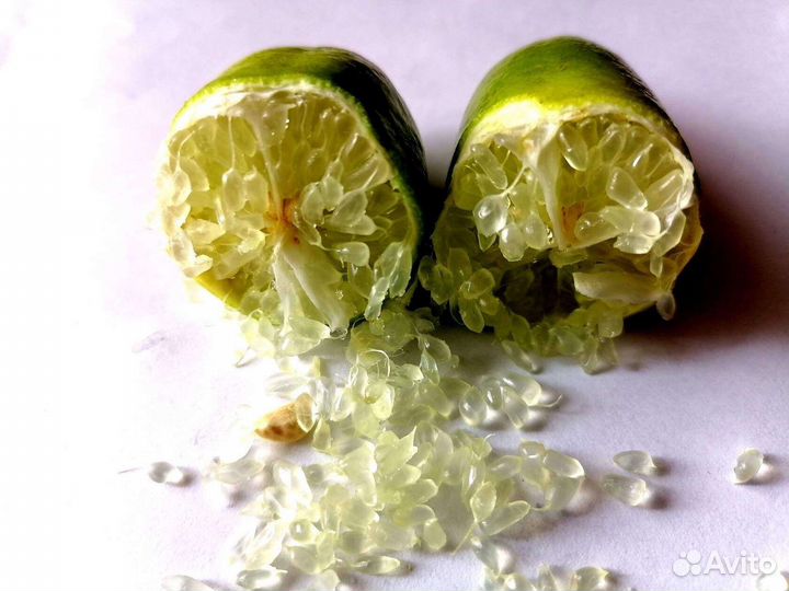 Микроцитрусы