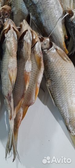 Тарань вяленая