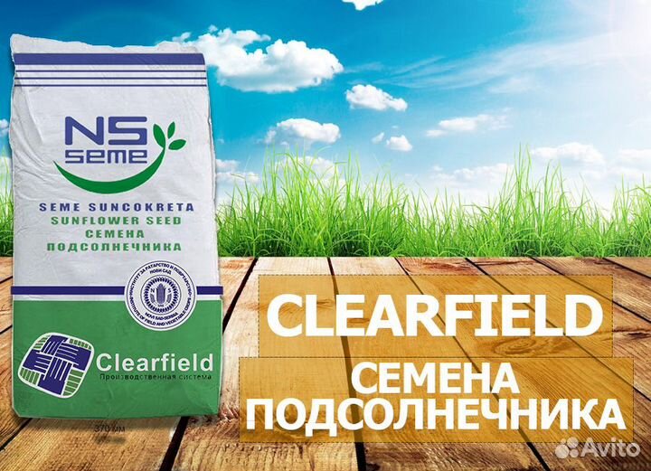 Гибриды семян подсолнечника нсx 6009 (евролайтинг)