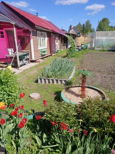 Дача 29,6 м² на участке 7 сот.