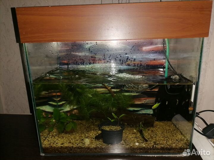 Аквариум 40л