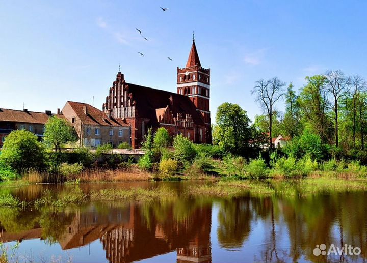 VIP-тур в Kaliningrad 7 дней