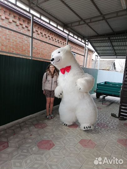 Белый мишка поздравление