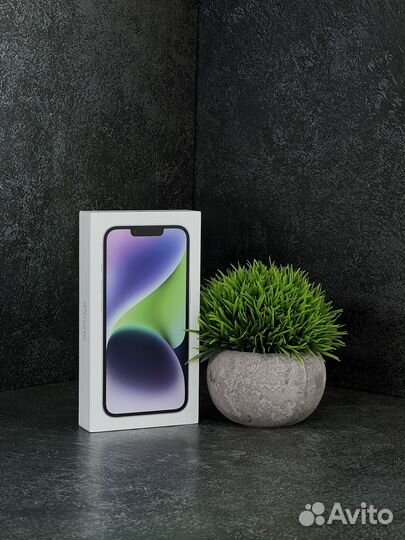 iPhone 14, 256 ГБ