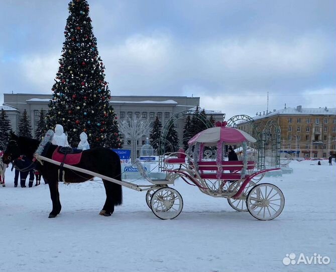 Упряжная рабочая лошадь обмен